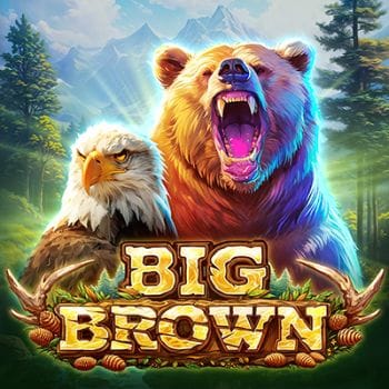 Big Brown Bear game thumbnail