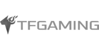 Evolution Gaming partner logo